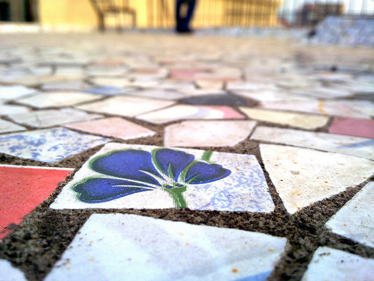 flor en el azulejo de la terraza