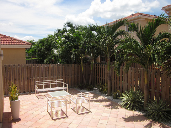 terraza con setos y palmeras